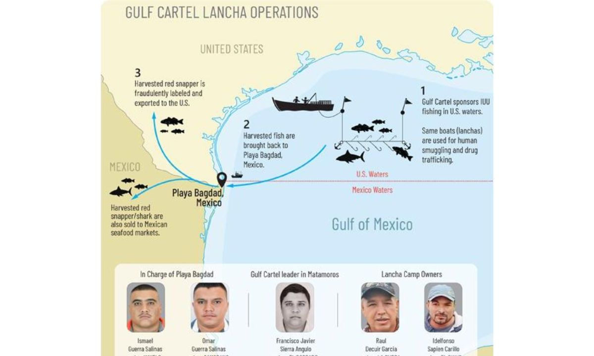 Los hermanos Guerra Salinas controla el comercio ilícito del pargo rojo y especies de tiburón a través de lanchas que parten de la playa Costa Azul o Playa Bagdad