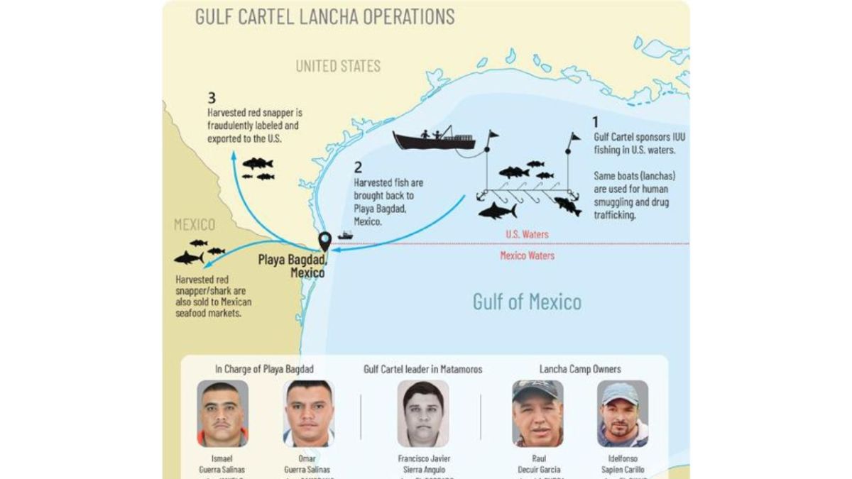 Los hermanos Guerra Salinas controla el comercio ilícito del pargo rojo y especies de tiburón a través de lanchas que parten de la playa Costa Azul o Playa Bagdad