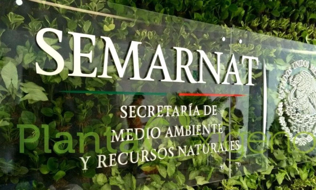 La Cámara de Diputados le autorizó un gasto de 73 mil 232 millones de pesos a Medio Ambiente