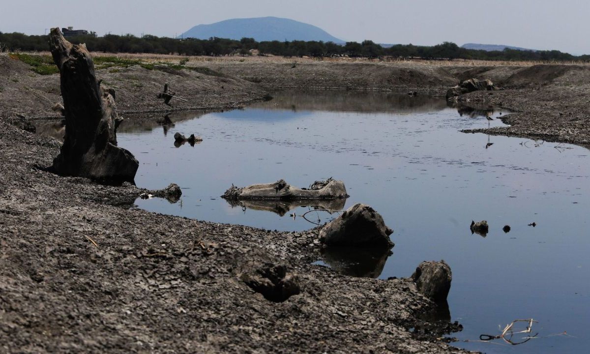 A pesar de lluvias, sequía sí afectará producción de agroalimentos: GCMA