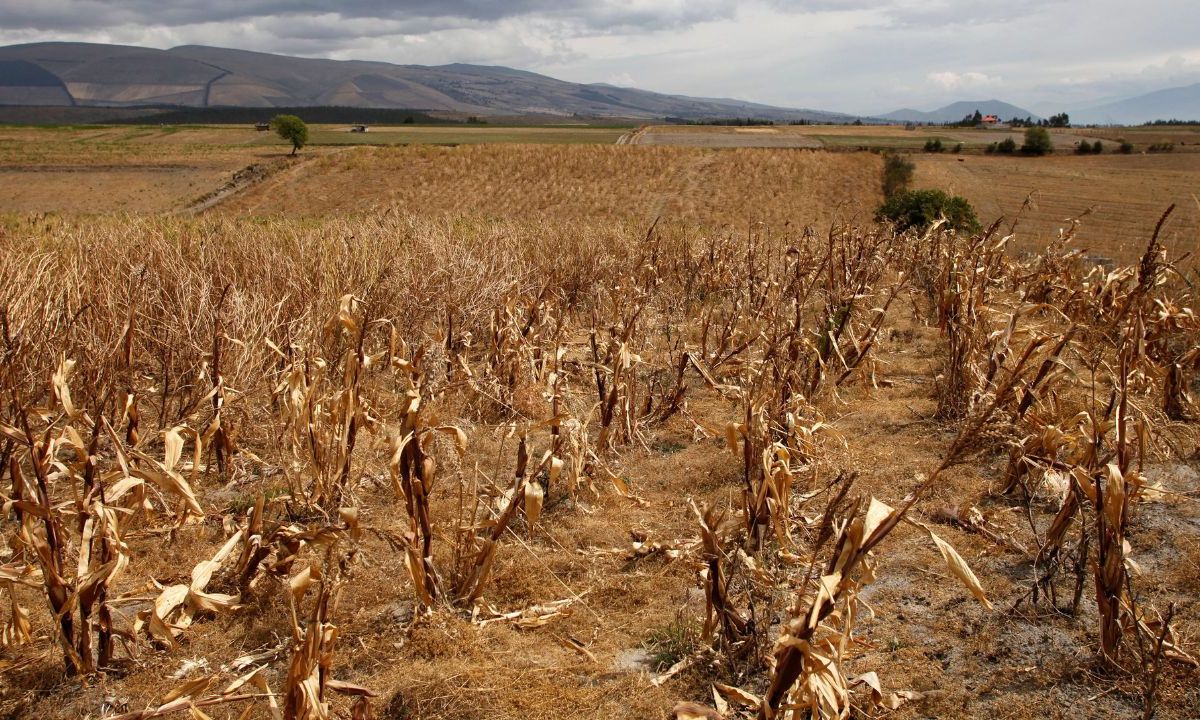 Escasez de agua en Ecuador