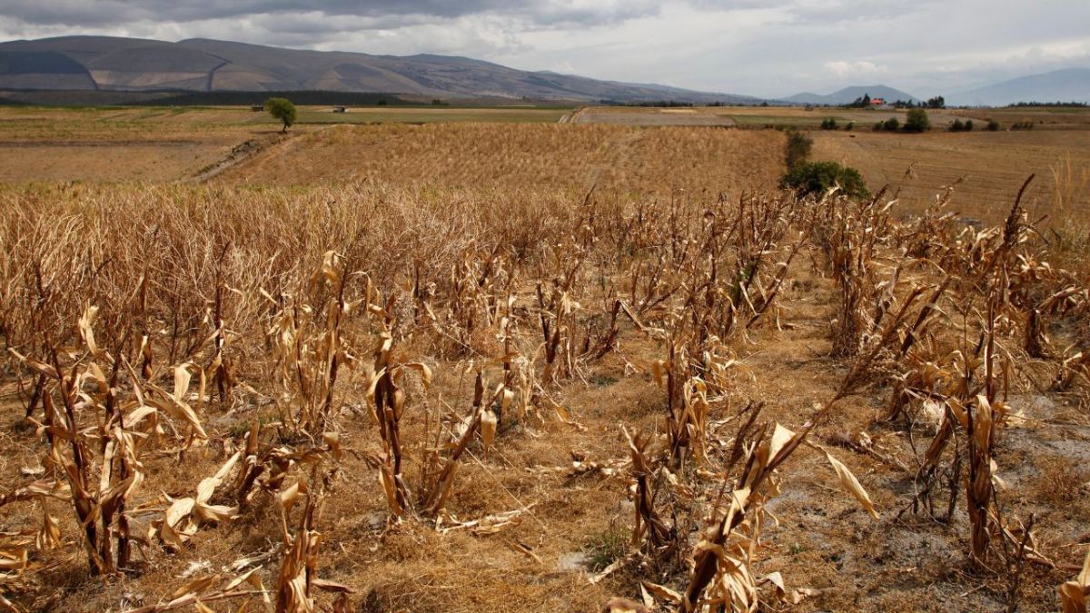 Escasez de agua en Ecuador