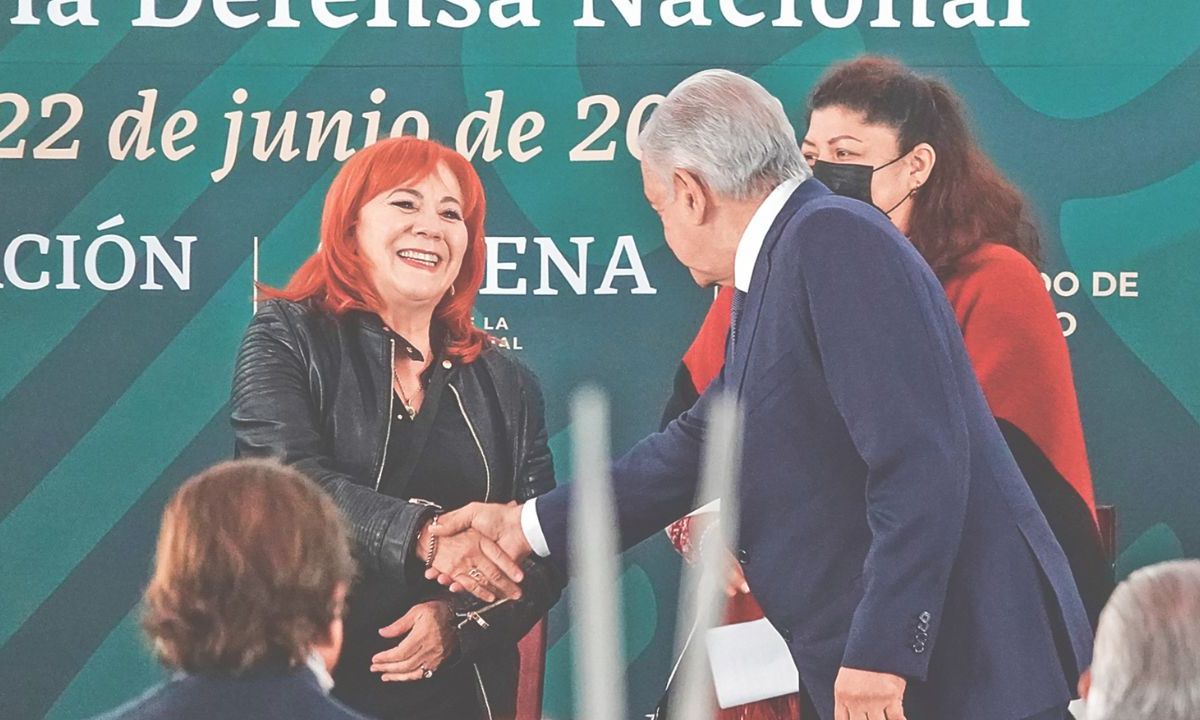 Designación. La actual titular de la Comisión fue nombrada por el expresidente Andrés Manuel López Obrador en noviembre del 2019.