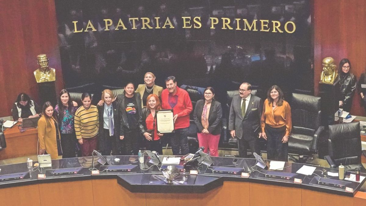 Nombramiento. Tras la reelección de Rosario Piedra Ibarra como titular de la Comisión de Derechos Humanos, este miércoles tomó protesta en el Senado. 