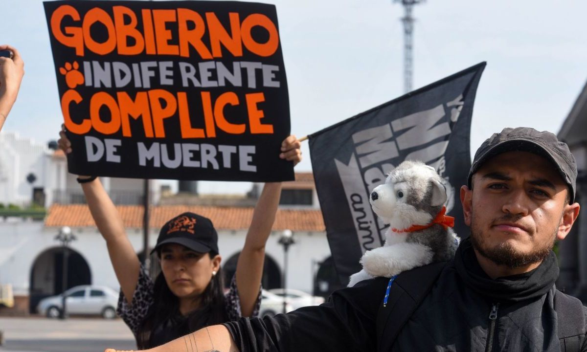 Marcha en contra del maltrato animal.