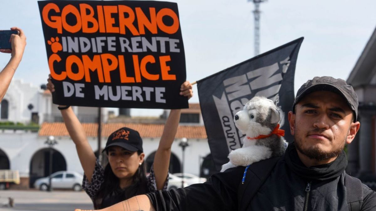 Marcha en contra del maltrato animal.