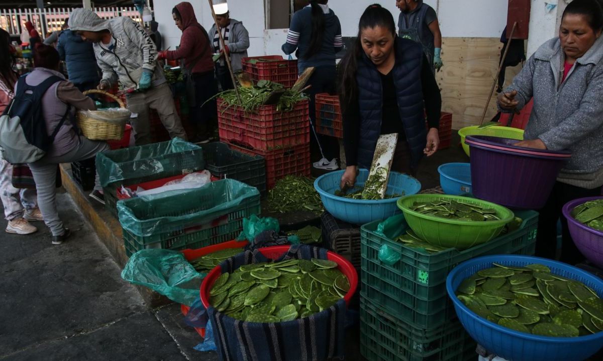 La pieza de nopales se vende hasta en 5 pesos tras la alza de precios por la inflación.