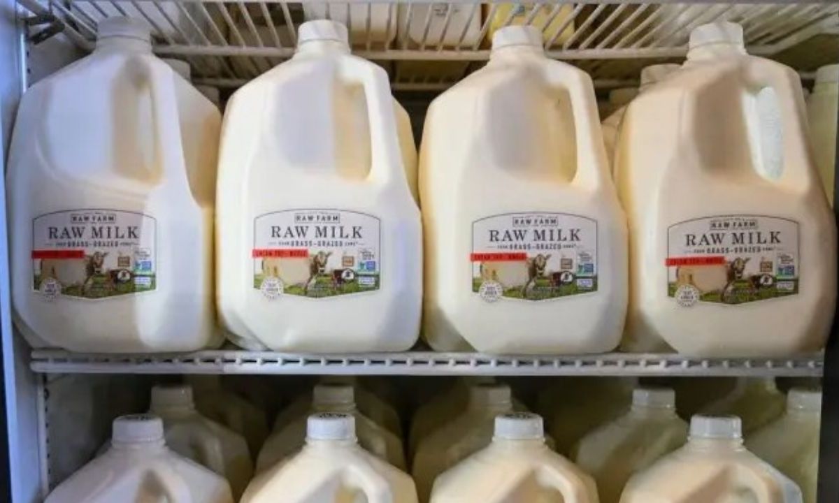 Alerta en California por gripe aviar en leche cruda de venta pública