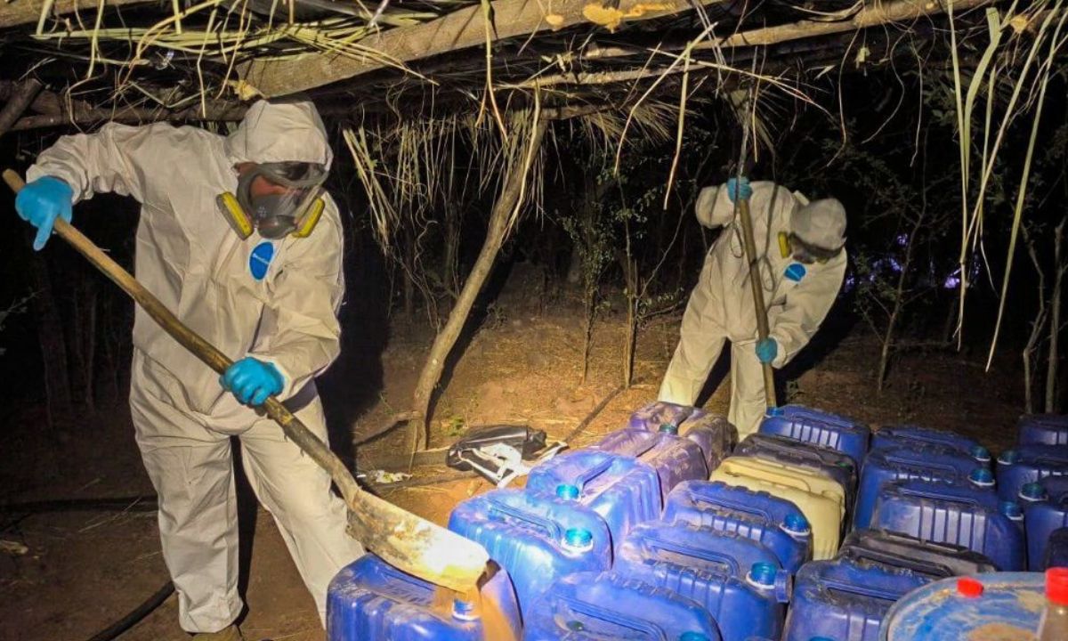 La policía desmanteló uno de los más grandes laboratorios de cocaína durante una operación que resultó en siete arrestos.