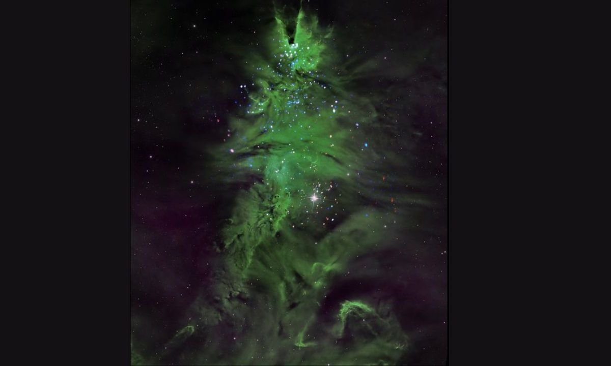 En dicha imagen de Árbol de Navidad, se observan las tenues nubes verdes en forma cónica