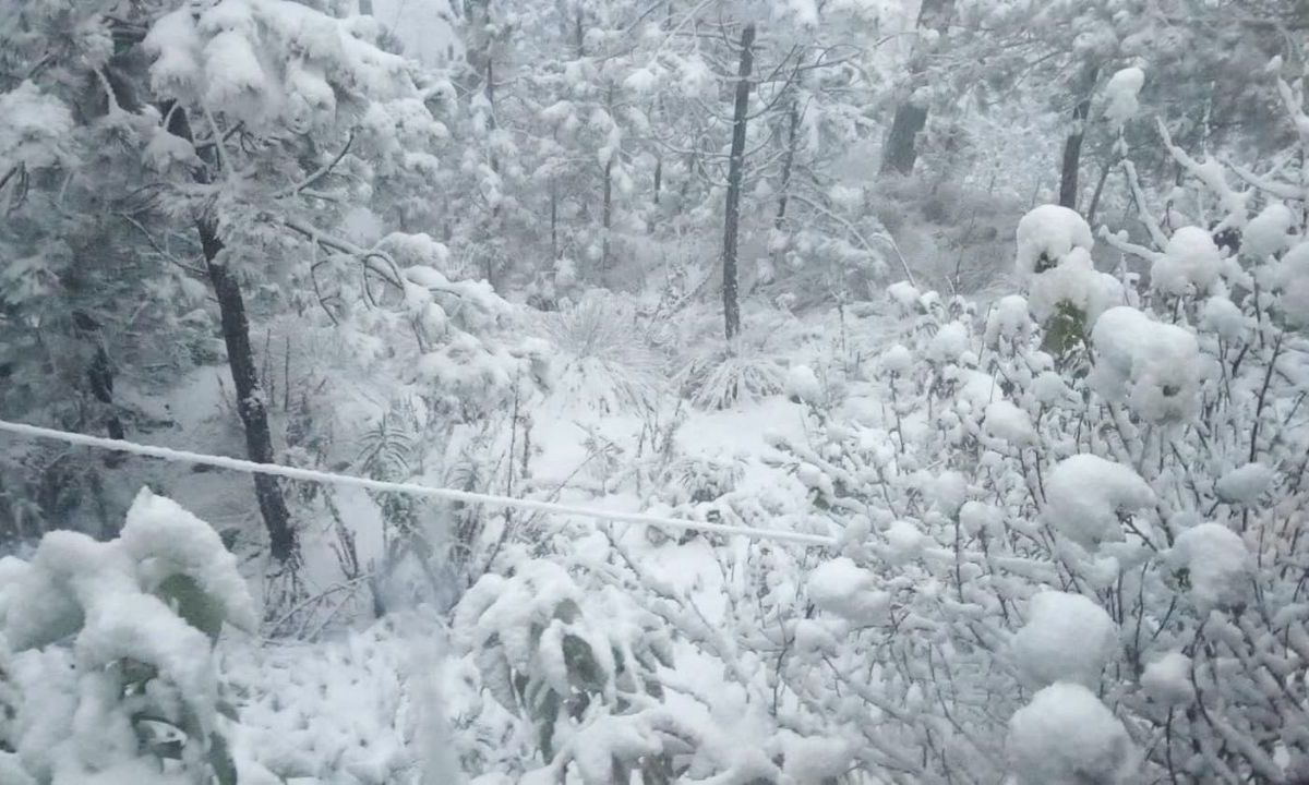 Habitantes y trabajadores de la zona reportaron la caída de nieve en el Cerro de Jocotitlán.