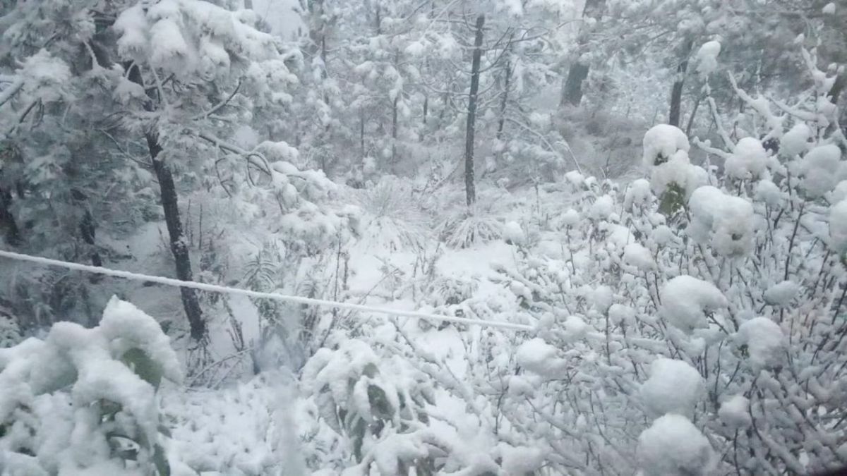 Habitantes y trabajadores de la zona reportaron la caída de nieve en el Cerro de Jocotitlán.