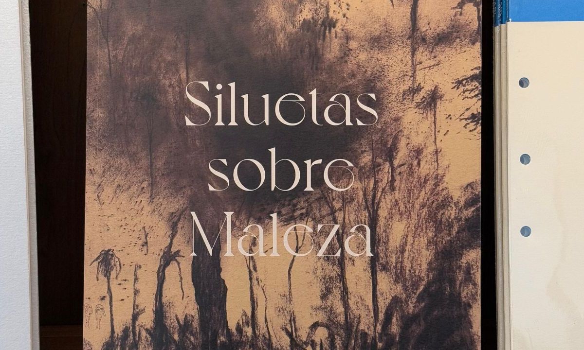 Aprovechar estas exposiciones gratuitas es una excelente manera de acercarse al arte, ya sea para explorar las raíces clásicas europeas o las perspectivas críticas y poéticas del presente latinoamericano. Ambos espacios invitan a conectar con el arte como un puente entre pasado, presente y futuro.