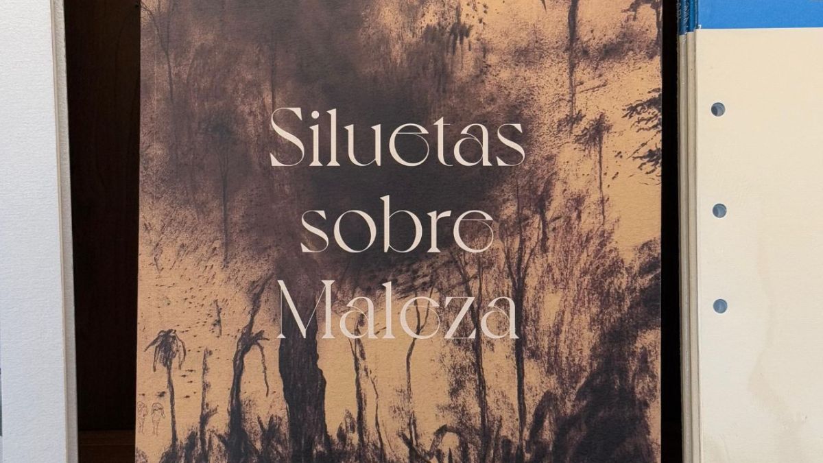 Aprovechar estas exposiciones gratuitas es una excelente manera de acercarse al arte, ya sea para explorar las raíces clásicas europeas o las perspectivas críticas y poéticas del presente latinoamericano. Ambos espacios invitan a conectar con el arte como un puente entre pasado, presente y futuro.