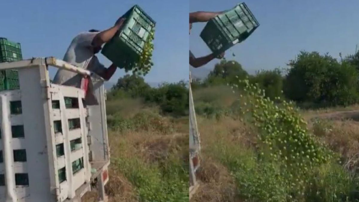 Foto: Especial | Tiran limones debido al bajo costo en Apatzingán 