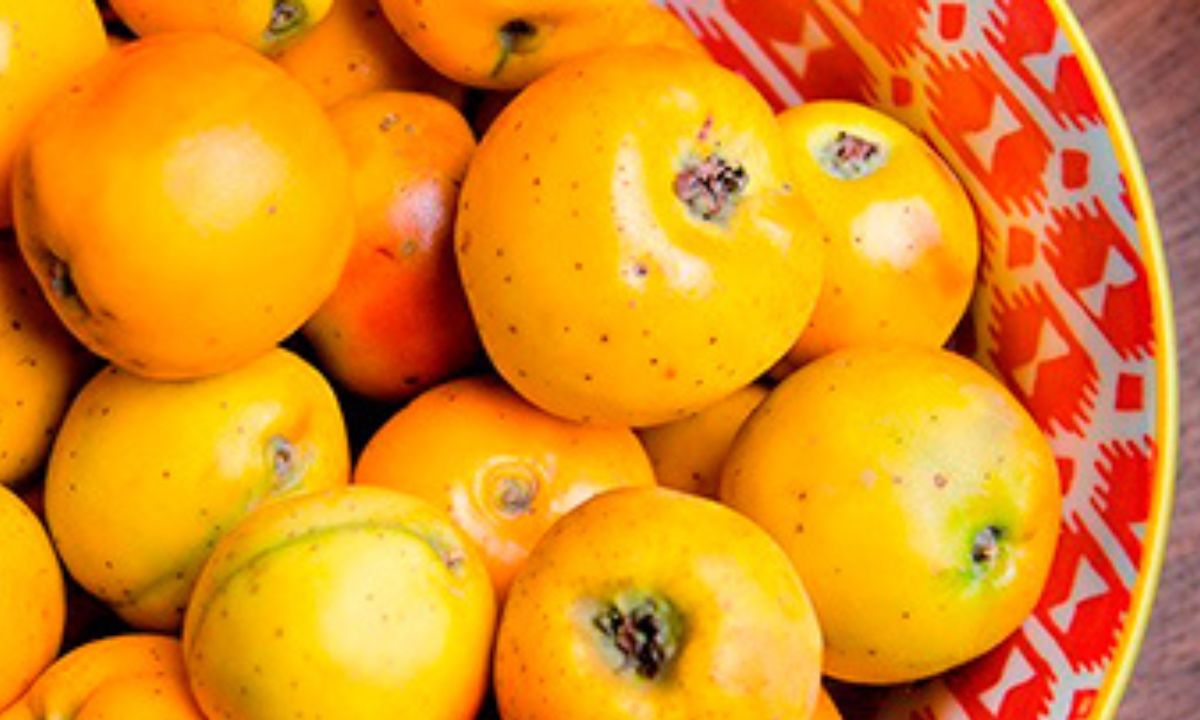 Tejocotes crudos colocados en un plato de cerámica de tonos rojos