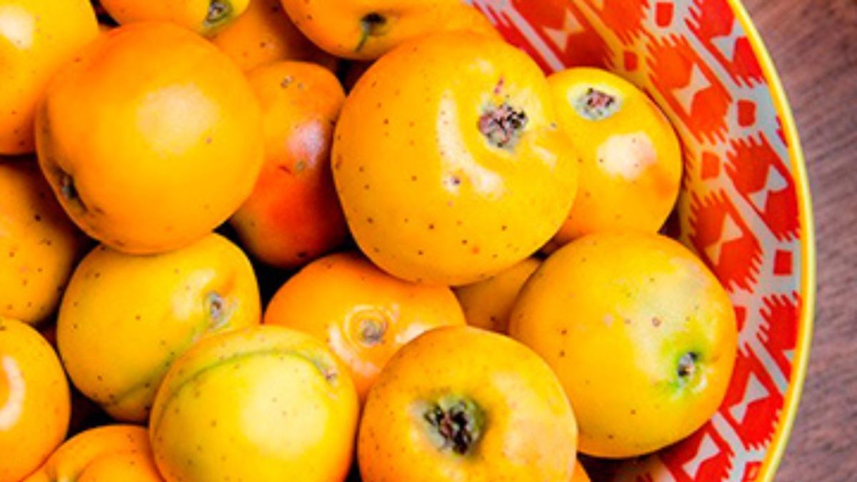 Tejocotes crudos colocados en un plato de cerámica de tonos rojos