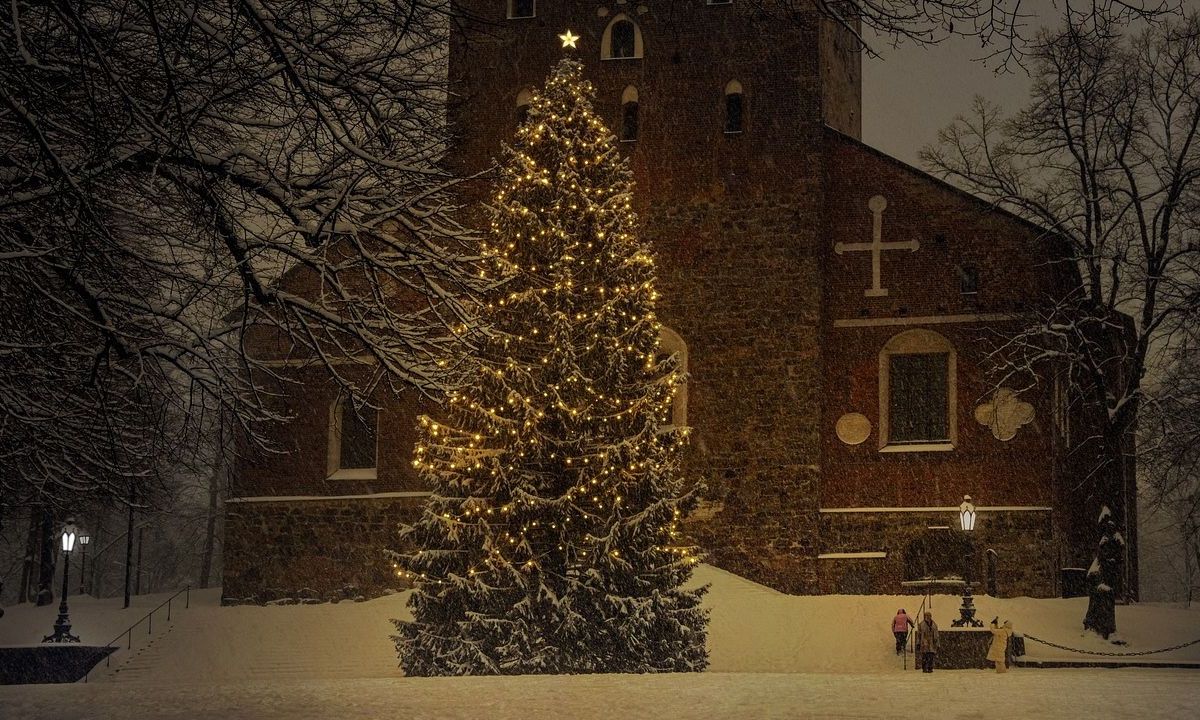 Conoce cuál es el origen de la puesta del tradicional árbol de Navidad como símbolo de las festividades decembrinas en el mundo.