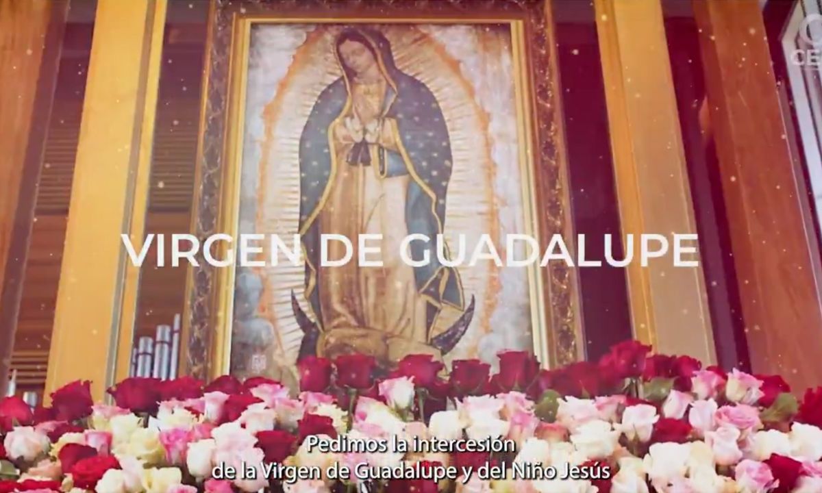 En un video de la Conferencia del Episcopado Mexicano, la iglesia repite su llamado a “una tregua de paz" y pide a la Virgen salvar al país.