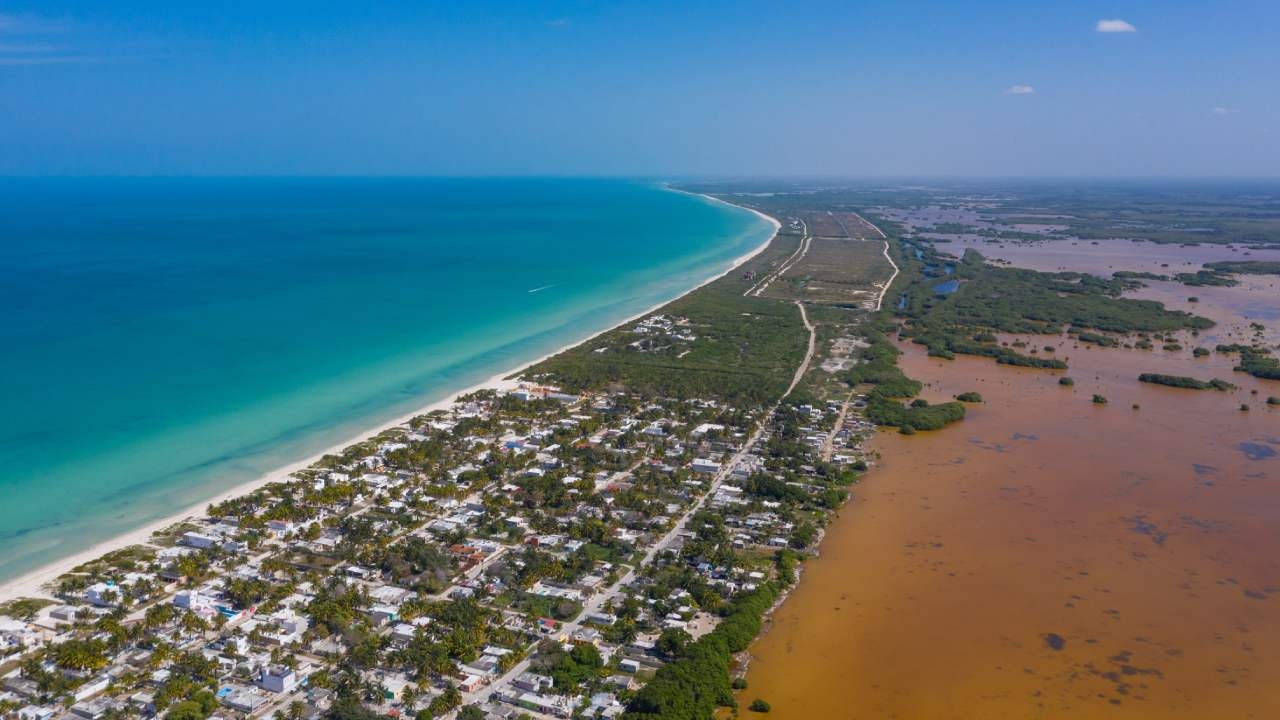 Foto: Especial/ Playa Sisal, Yucatán