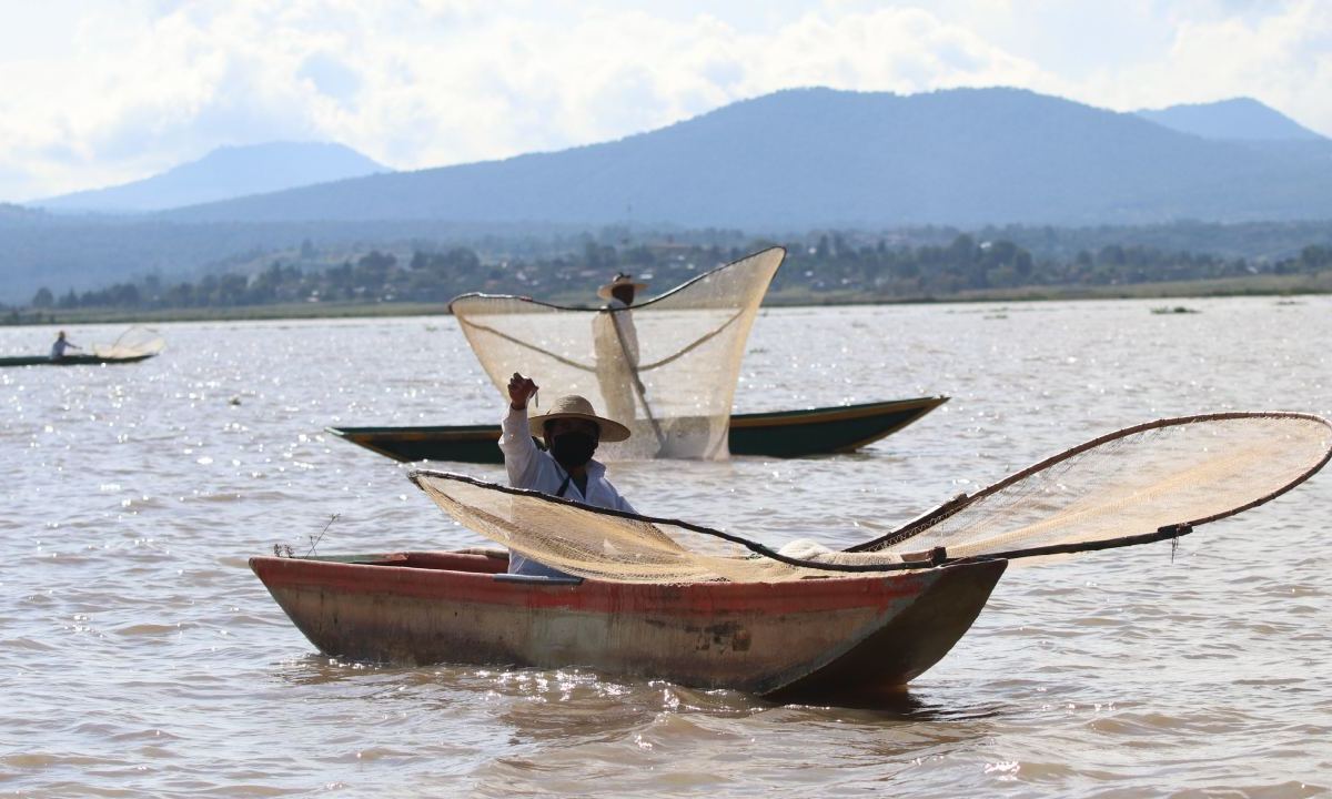 Inició la veda de pesca de la almeja catarina y lisa en territorio mexicano.