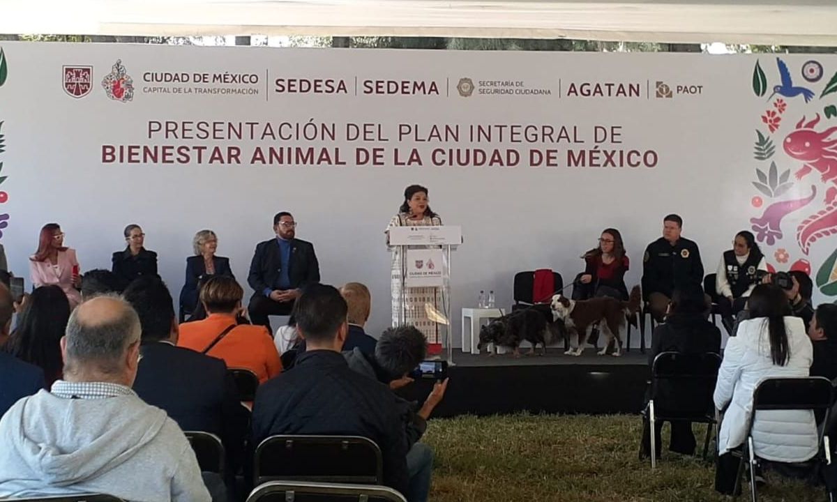 Clara Brugada en conferencia de prensa