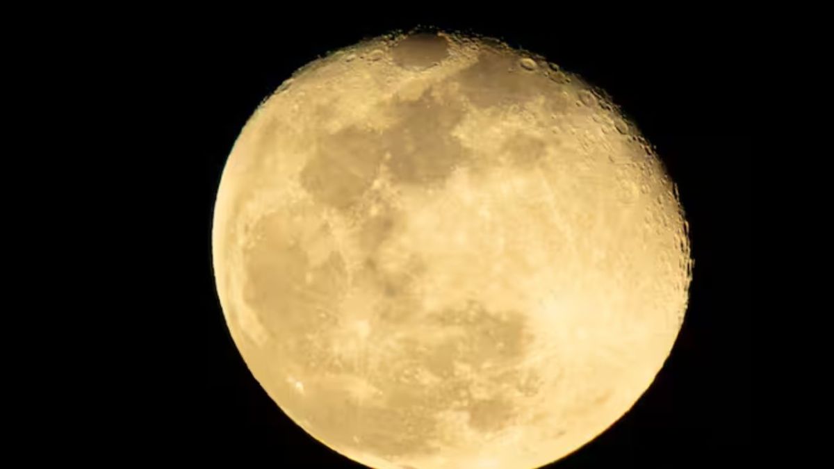 Luna fria sera visible este año