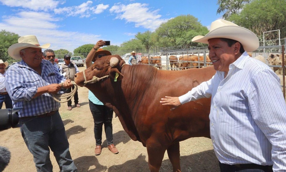 Julio Berdegue informó que se reanudó la exportación de ganado a Estados Unidos tras firma de acuerdo con su Departamento de Agricultura.