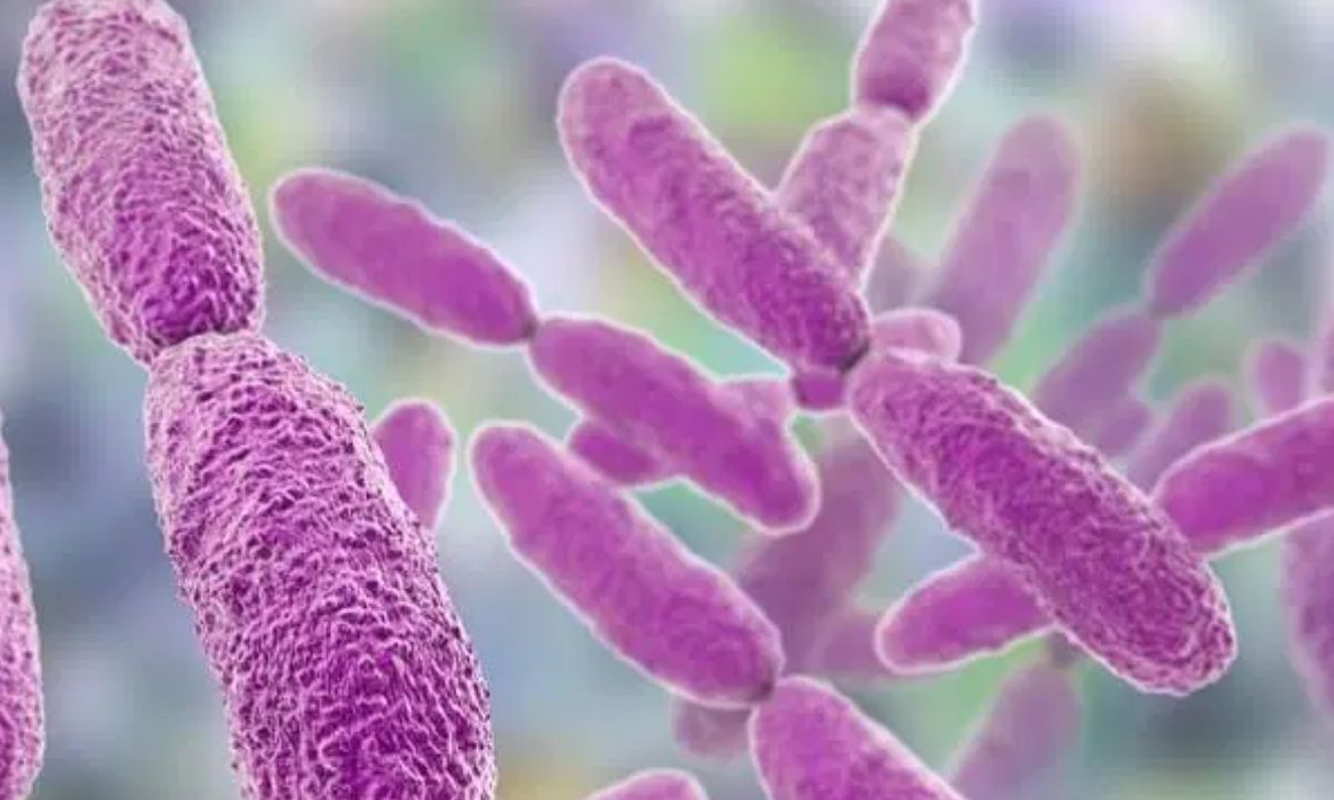 Las instituciones de salud informaron sobre un brote de infecciones de torrente sanguíneo provocadas por la bacteria 'Klebsiella oxytoca'