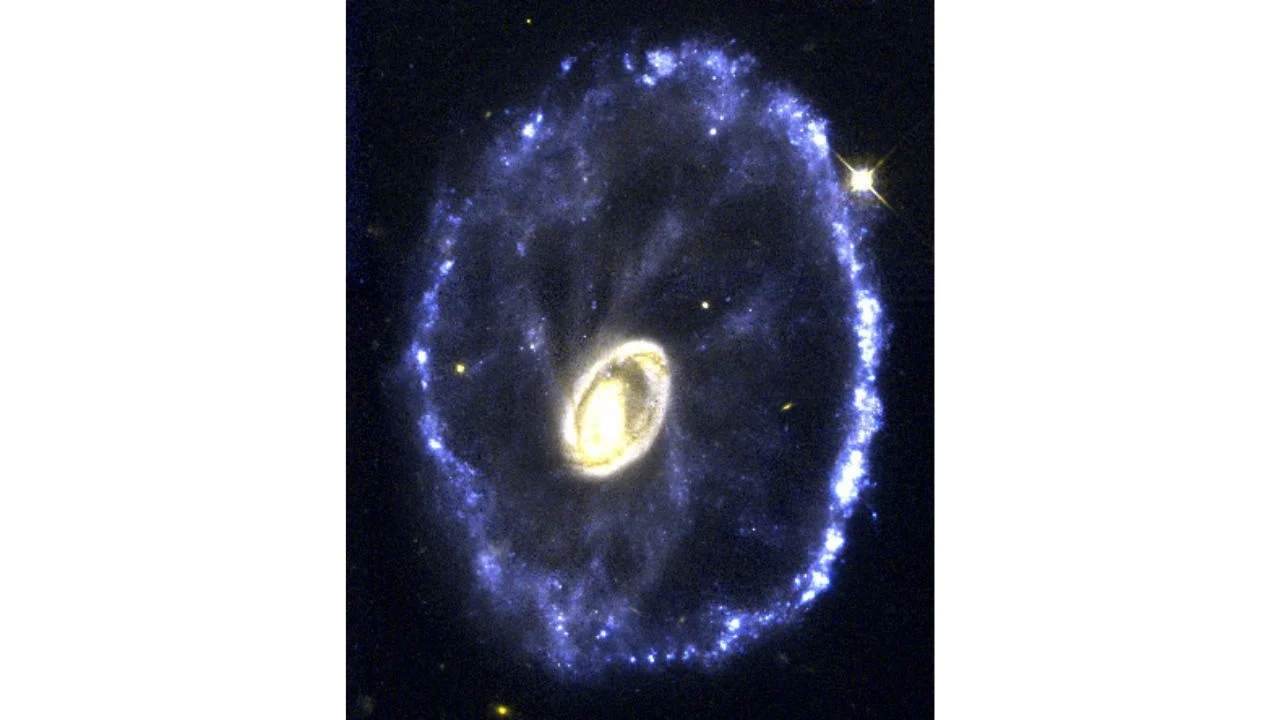 ¿Te has preguntado cómo se veía el cielo en tu cumpleaños? Ahora lo puedes descubrir gracias a esta página de la NASA.