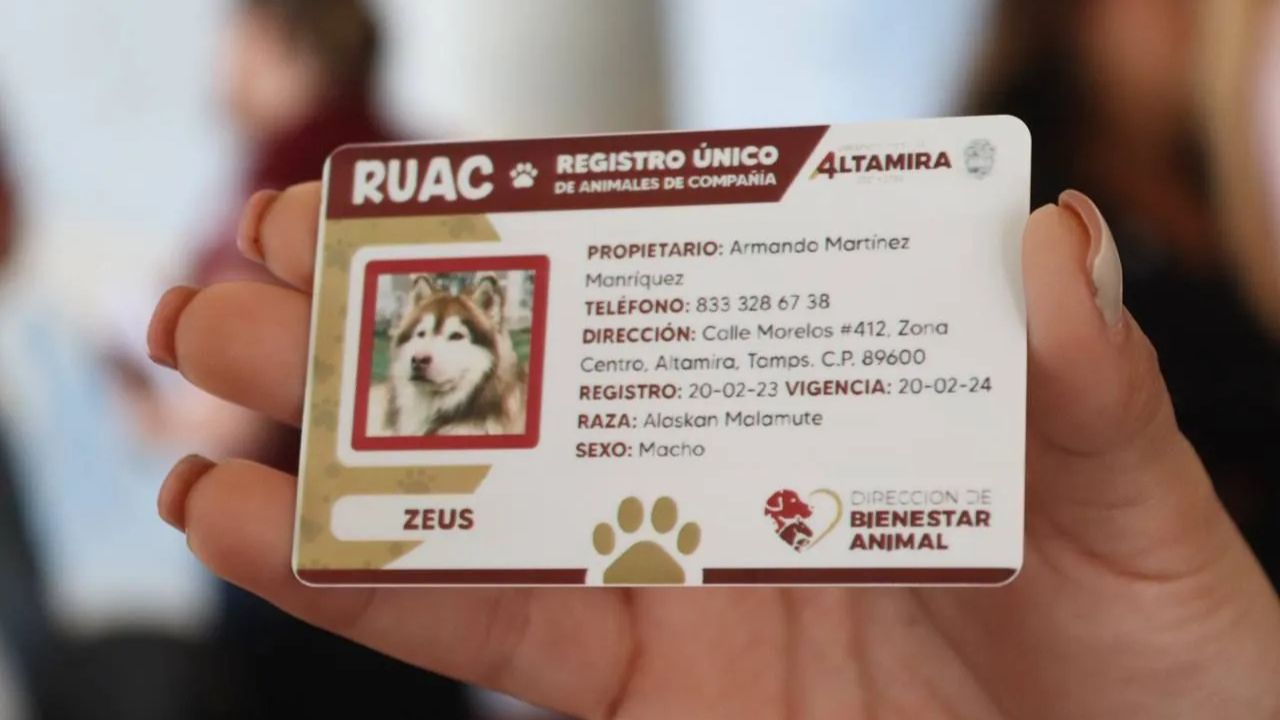 CURP para mascotas: Así puedes tramitar el RUAC.