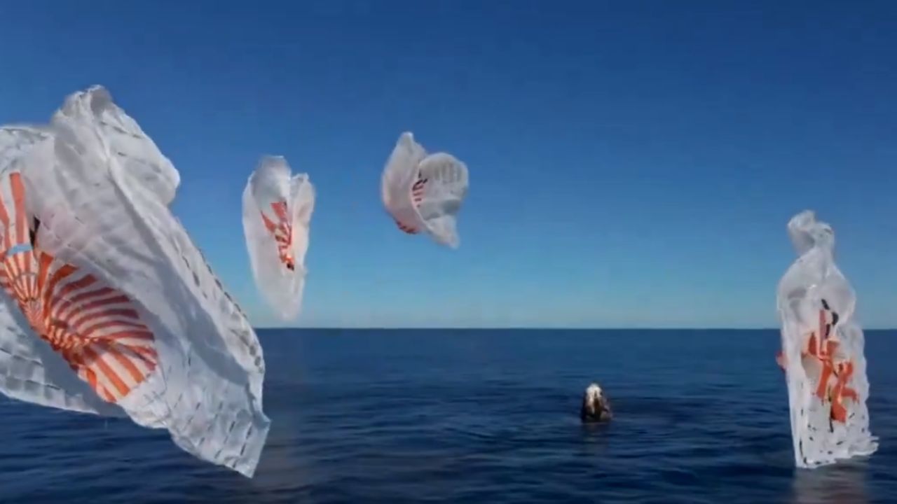 La Crew Dragon, denominada "Freedom", se desacopló de la EEI en la madrugada del martes y, tras un viaje de 17 horas, descendió frente a la costa de Florida a las 17:57 horas