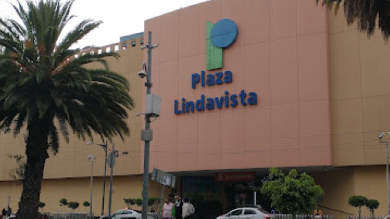 Las palmeras se encontraban ubicadas sobre el camellón , frente al centro comercial Lindavista