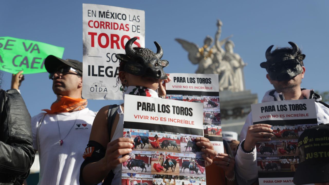 El Congreso de la CDMX aprobó en lo general la prohibición de espectáculos con animales, que contempla corridas de toros sin sangre.