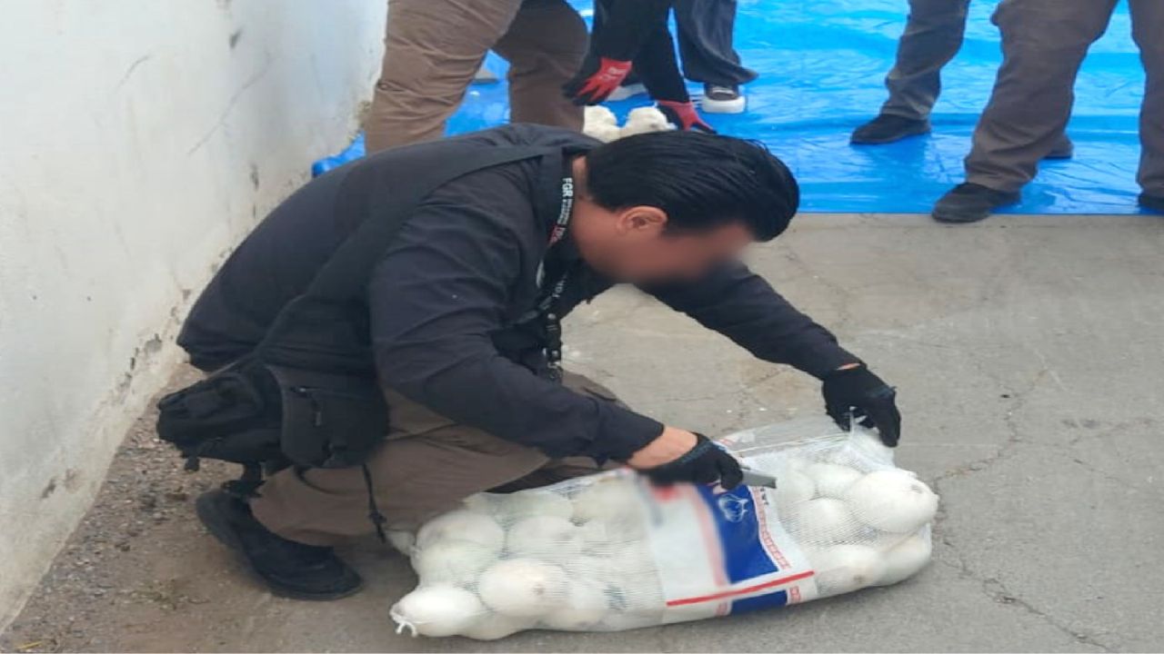 decomiso de cebollas con droga en Tamaulipas