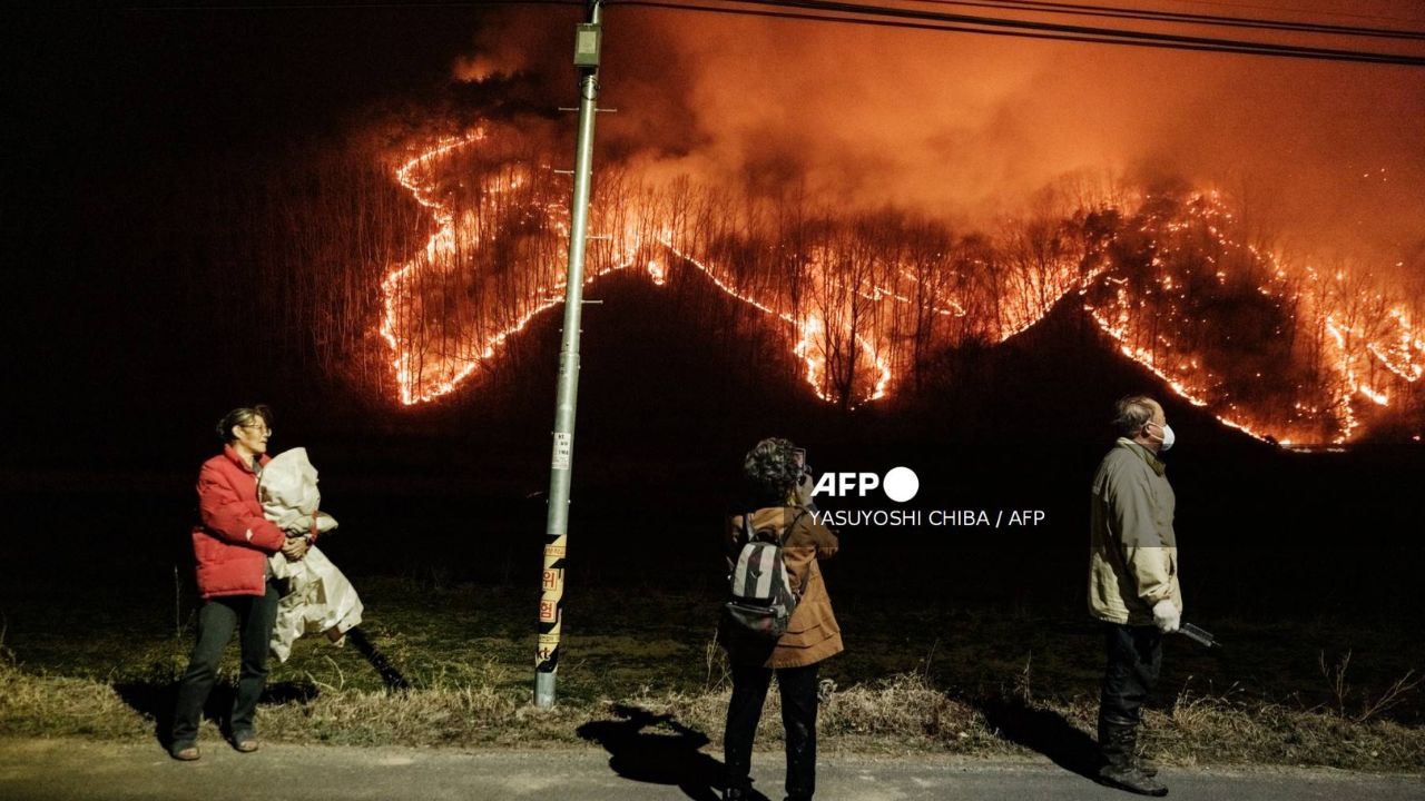 Corea del Sur enfrenta una de las peores crisis ambientales de su historia reciente tras una serie de incendios forestales.