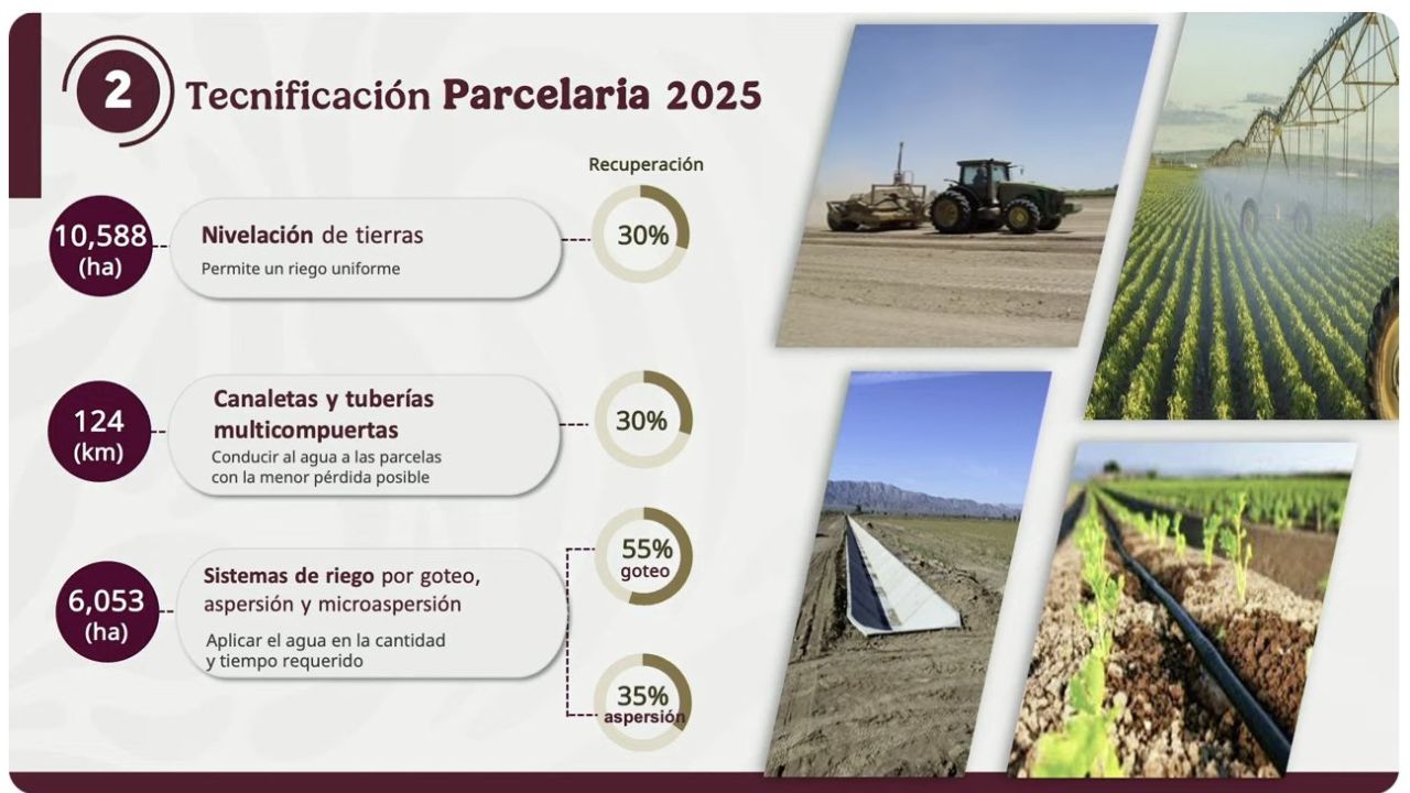 Programa Nacional de Tecnificación