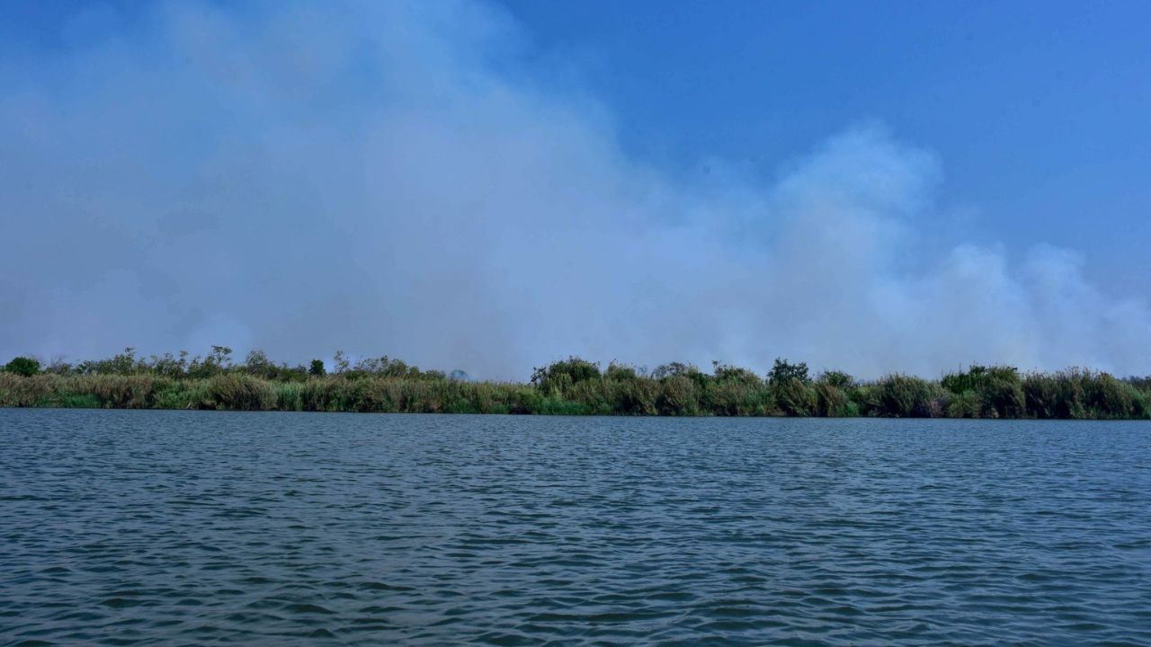 El fuego comenzó en la zona de humedales, en Coyuca de Benítez.