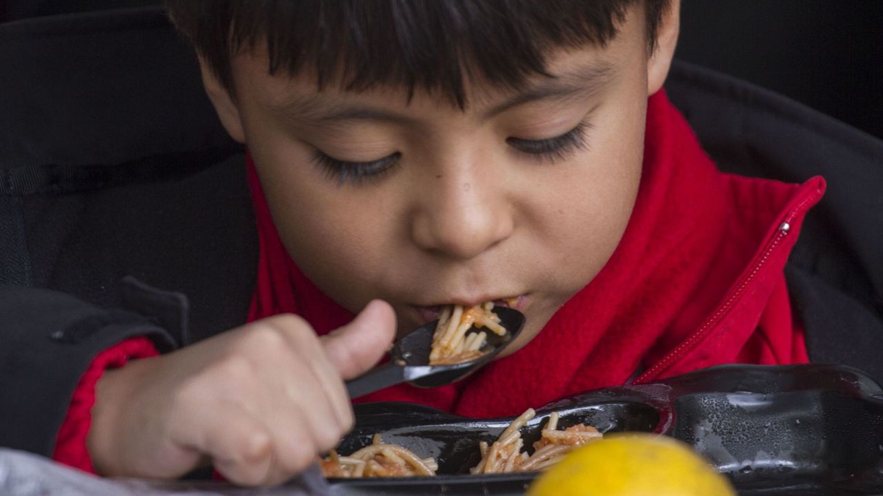 Descubre en qué consiste el nuevo programa Vive Saludable, Vive Feliz que se implementará en las escuelas primarias públicas de México.