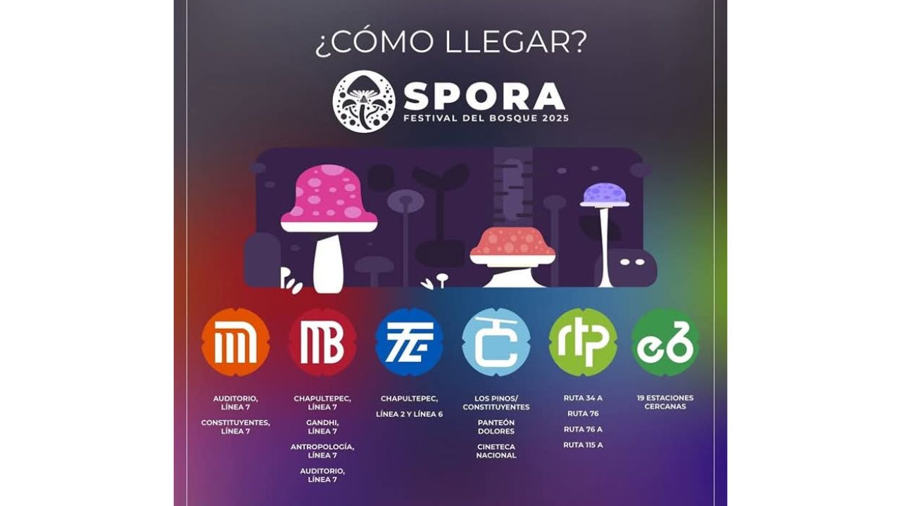 Rutas para llegar al Picnic Nocturno 