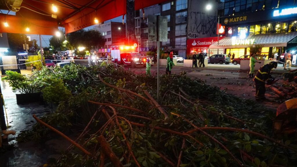 Los vientos fuertes pueden provocar la caída de ramas.