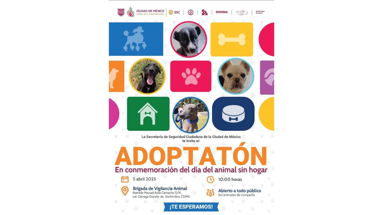 primera edición del “Adoptatón”