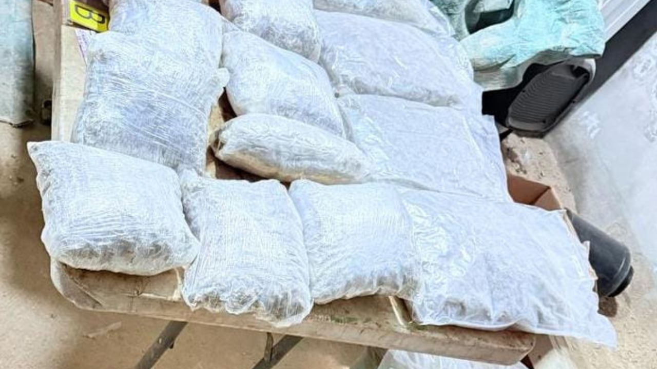 Hallan  200 dosis de posible marihuana, 47 dosis de droga sintética “cristal” y 4 equipos de telefonía celular
