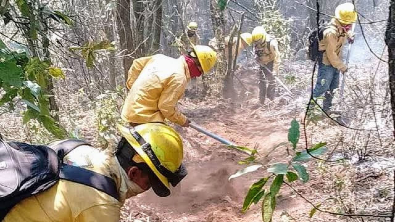 El Gobierno del Estado de México interpondrá penas de dos a 10 años de prisión a quien provoque incendios en zonas boscosas.