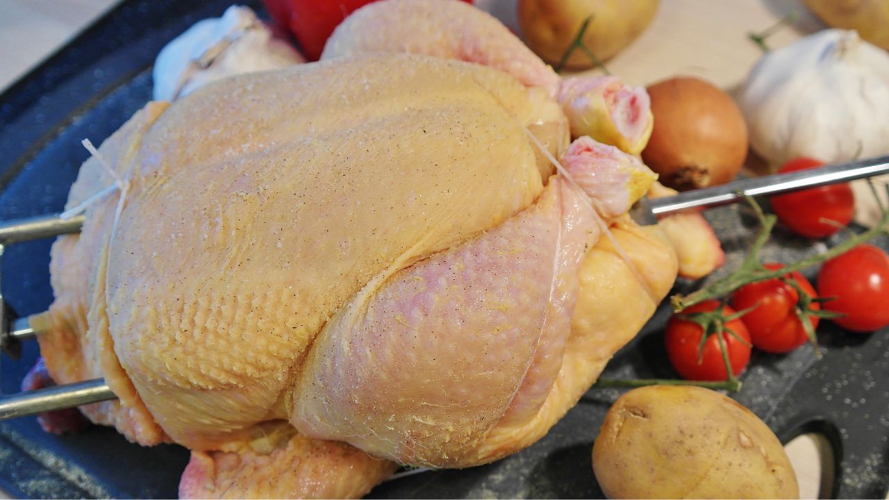 Ante la detección el primer caso humano de influenza aviar h5n1 en México, la OMS responde si es seguro comer pollo y huevo.