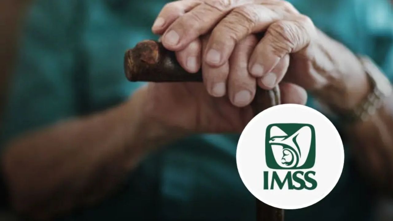 ¿Cómo saber si debo tramitar el Certificado de supervivencia del IMSS?