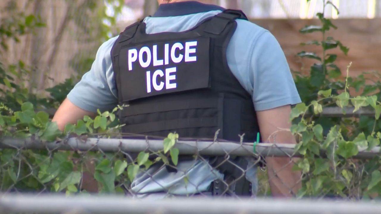 Un migrante guatemalteco permaneció 8 horas en un árbol para evitar ser deportado por agentes migratorios del ICE en San Antonio, Texas, EU.