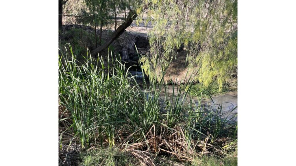 Plantas tratadoras de agua del Tangamanga son operadas por Interapas, detalló el CEA de San Luis Potosí.