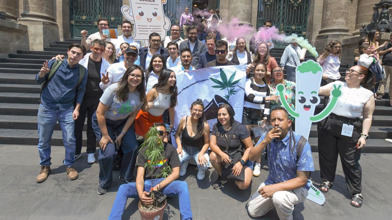 Royfid Torres presentó una iniciativa de Reforma a la Ley de Salud local para no estigmatizar y reducir riesgos en consumidores de cannabis.