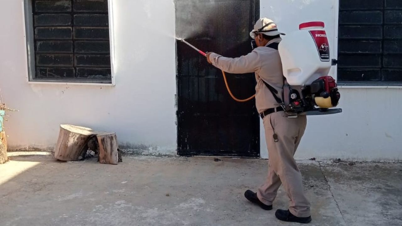 La cobertura contra el dengue se mantiene en los 13 municipios de Campeche con nebulizaciones y eliminación de depósitos de agua.